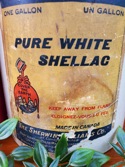Early Vintage Sherwin Williams Products Crock Jug